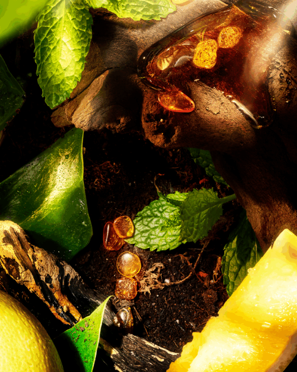 Roja Parfums | Apex Eau Intense